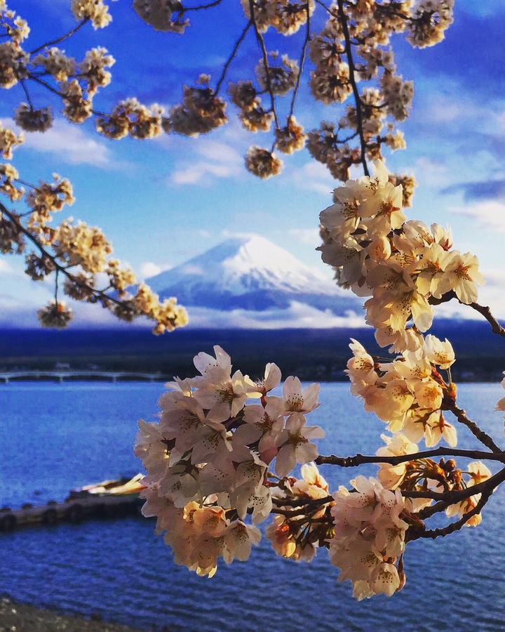 Cyokiya Lake Saiko Fujikawaguchiko Exterior foto